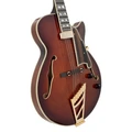 D'Angelico Excel SS Soho Semi-Hollow Electric Guitar in Amaretto Burst - DAESSSARBGT-A--2440x2440.jpg