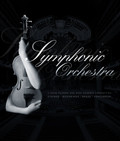 Eastwest Symphonic Orchestra Platinum Plugin - 1181-96.jpg