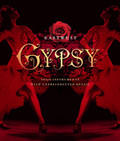 Eastwest Gypsy Plugin - 1181-31.jpg