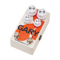 Earthquaker Devices GARY Automatic PWM Fuzz & Dynamic Natural Overdrive - eqd-gary-rhp.jpg