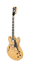 D'Angelico Deluxe DC in Satin Honey - DADDCSHNGS-FA.jpg