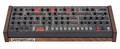 Sequential Prophet-6 Module - 93282-P6-Module-Front-AngleJPEG.jpg