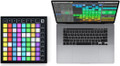 Novation Launchpad X 64 Pad Ableton Live MIDI Controller - NOVLPD12_5.jpg