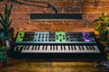 Moog Matriarch Paraphonic Analogue Semi-Modular Synthesizer - 332054-1556295040418.jpg