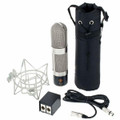 Golden Age Project R1 Stereo Ribbon Mic - R1ST (3).jpg