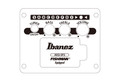 Ibanez AEG721-BOT AEG Series 7 String Electro Acoustic Guitar in Black Out - AEG721_BOT_5B_01_ZE.jpg