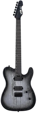ESP LTD TE-1000 Electric Guitar in Silver Blast - TE-1000_SBLAST_FRONTW.jpg