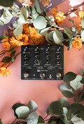 Walrus Audio Qi Etherealizer Yvette Young Signature Ambient Pedal in Black - 66676-1 (1).jpg