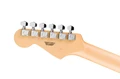 Fender Standard Series Stratocaster HSS in Candy Cola - 0266440571 (1).jpg