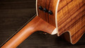 Taylor 214ce-K DLX Acoustic Guitar - 214CE-KDLX (5).jpg