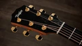 Taylor 214ce-K DLX Acoustic Guitar - 214CE-KDLX (3).jpg