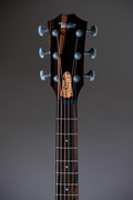 Taylor Jacob Collier Signature 6-String Electro-Acoustic - JCSM-6 (1).jpg