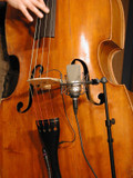 Neumann TLM103 Mono Set - Shockmount and Flight case - 008508 (7).jpg