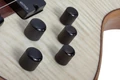 Schecter Charles Berthoud CB-6 6-String Bass Guitar in Natural Satin - Charles Berthoud CB-6 Natural Satin KNOBS copy.jpg