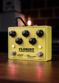 Benson Florist Dynamic Modulator Pedal in Yellow - IMG_3941.jpg