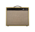 Revv Amplification D25 Joey Landreth Edition in Gold  - REVV - Joey Landreth - D25 - Gold - Front.jpg