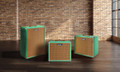 Laney Limited Edition LIONHEART FOUNDRY Series LFSUPER60-212 60w 2x12 Combo in Seafoam Green  - LFSUPER60-212-SFG_Misc03.jpg