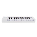 Arturia Microlab MK3 25 Key MIDI Keyboard & Controller in White - 231511 (4).jpg
