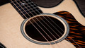 Taylor Builders Edition 514ce Natural Top  - Taylor-Builder’s-Edition-514ce-1209044110-gallery-07-2024.jpg