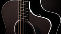 Taylor 214ce Plus Special Edition Electro Acoustic Guitar in Trans Grey - 214CE-GREY (5).jpg