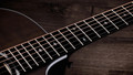 Taylor 214ce Plus Special Edition Electro Acoustic Guitar in Trans Grey - 214CE-GREY-Trans-Grey-Fingerboard.jpg
