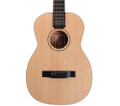 Furch Travel Series Little Jane LJ10-SM Foldable Acoustic Guitar - LJ10-SM cropped.jpg