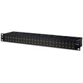 Black Lion Audio PBR TRS 48-Point Patchbay - BL-PBRTRS-Black-Lion-Audio-PBR-TRS-34-Left.jpg