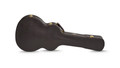 Taylor Limited Edition The Last of Us Replica 314c Acoustic Guitar - Taylor-TheLastofUs-Case.jpg