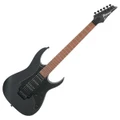 Ibanez RG450B-WK Electric Guitar in Weathered Black - RG450B-WK 5.jpg
