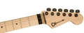 Charvel Pro-Mod So-Cal Style 1 HH FR M Electric Guitar in Natural Ash - 2966001557_cha_ins_hft_1_nr.jpg