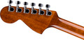 Fender California Standard Monterey Electro Acoustic in Natural Sapele - 0974253521_fen_ins_hbk_1_nr.jpg