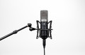 Slate Digital ML-1A Modelling Microphone - SLA001_1.jpg