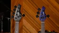 Sterling by Music Man Bongo Bass Guitar in Stealth Black - bongo-headstock_600x (1)_compressed.jpg