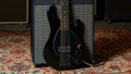Sterling by Music Man DarkRay 5 5-String Bass Guitar in Black - darkray5-body_600x_compressed.jpg