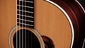 Taylor Gold Label 717e Electro Acoustic in Natural - Taylor-Gold-Label-717e-1202125103-gallery-06-2025_compressed_compressed.jpg