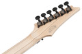 Ibanez RG565R-VK RG Genesis Collection Electric Guitar in Vampire Kiss - RG565R_VK_00_02_K.jpg