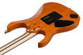 Ibanez RG8570EM-NT RG J Custom Exotic Maple Top Electric Guitar in Natural - RG8570EM_NT_00_01_I.jpg