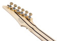 Ibanez RG8570EM-NT RG J Custom Exotic Maple Top Electric Guitar in Natural - RG8570EM_NT_00_01_K.jpg