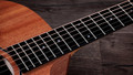 Taylor 24ce Grand Auditorium Electro Acoustic With Mahogany Top - 24CE-A (2)_compressed.jpg
