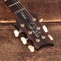 PRS Custom 24 in Fire Smokeburst - 0403337 (13).JPG