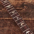 PRS Custom 24 in Black Gold Wraparound Burst - 0403131 (13).JPG