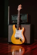 PRS John Mayer SE Silver Sky in Dandy Lion, Rosewood Fretboard - silver sky new colors-10_compressed.jpg