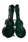 Sigma SATA 400 Archtop Guitar - SATA-hardshell-2-1.jpg