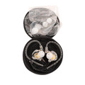 Ordo HP-IEM30 Professional In-Ear Monitor Earphones - HP-IEM30 (22).jpg