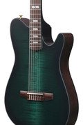 Ibanez FRH20FMN-DGL FRH Series Nylon Electro Acoustic in Deep Emerald Green - FRH20FMN_DGL_5B_01_H.jpg