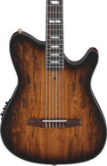 Ibanez FRH20SMN-TCL FRH Series Nylon Electro Acoustic in Tobacco Burst - FRH20SMN_TCL_5B_01_F.jpg