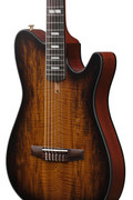 Ibanez FRH20SMN-TCL FRH Series Nylon Electro Acoustic in Tobacco Burst - FRH20SMN_TCL_5B_01_H.jpg