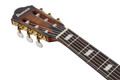 Ibanez FRH20SMN-TCL FRH Series Nylon Electro Acoustic in Tobacco Burst - FRH20SMN_TCL_5B_01_J.jpg