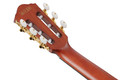 Ibanez FRH20SMN-TCL FRH Series Nylon Electro Acoustic in Tobacco Burst - FRH20SMN_TCL_5B_01_K.jpg