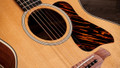 Taylor Gold Label 514e Electro Acoustic Guitar - Taylor-Gold-Label-514e-1204185095-gallery-20-2025.jpg